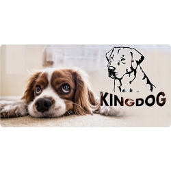 Legowisko dla psa kojec KINGDOG 100x75 cm personalizowane wodoodporne jasnoszare