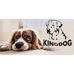 Legowisko dla psa kojec KINGDOG 130x105 cm personalizowane wodoodporne zielone